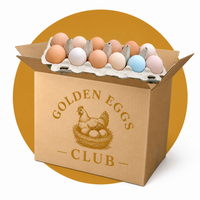 4 Dozen Egg Box